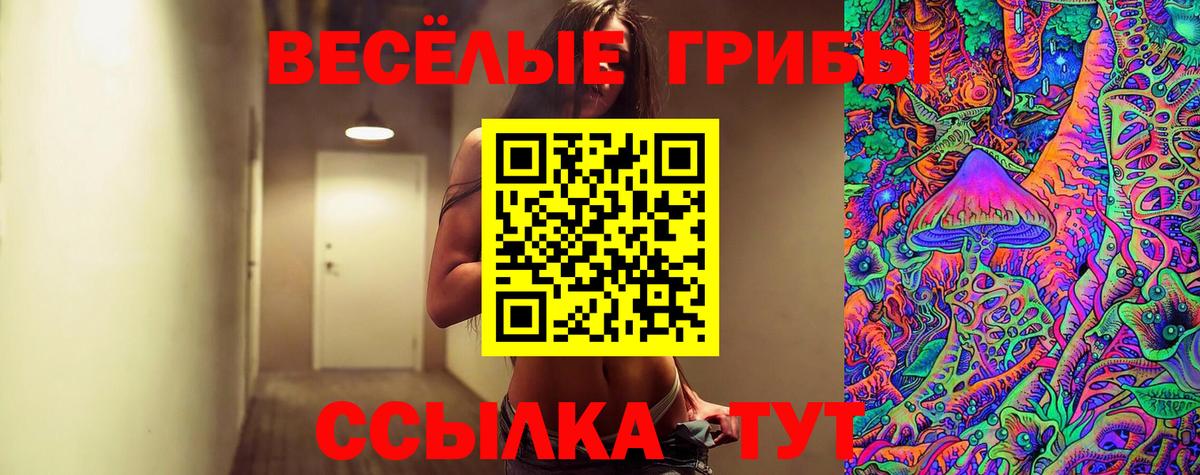 Вышний Волочёк  Галлюциногенные грибы прущие грибы  Вход с VPN 